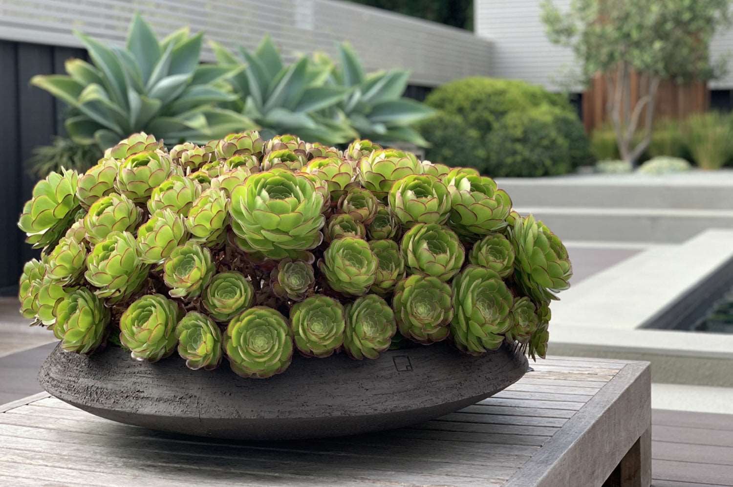 Atelier Vierkant Bowl SR95G Grey (IN STOCK)