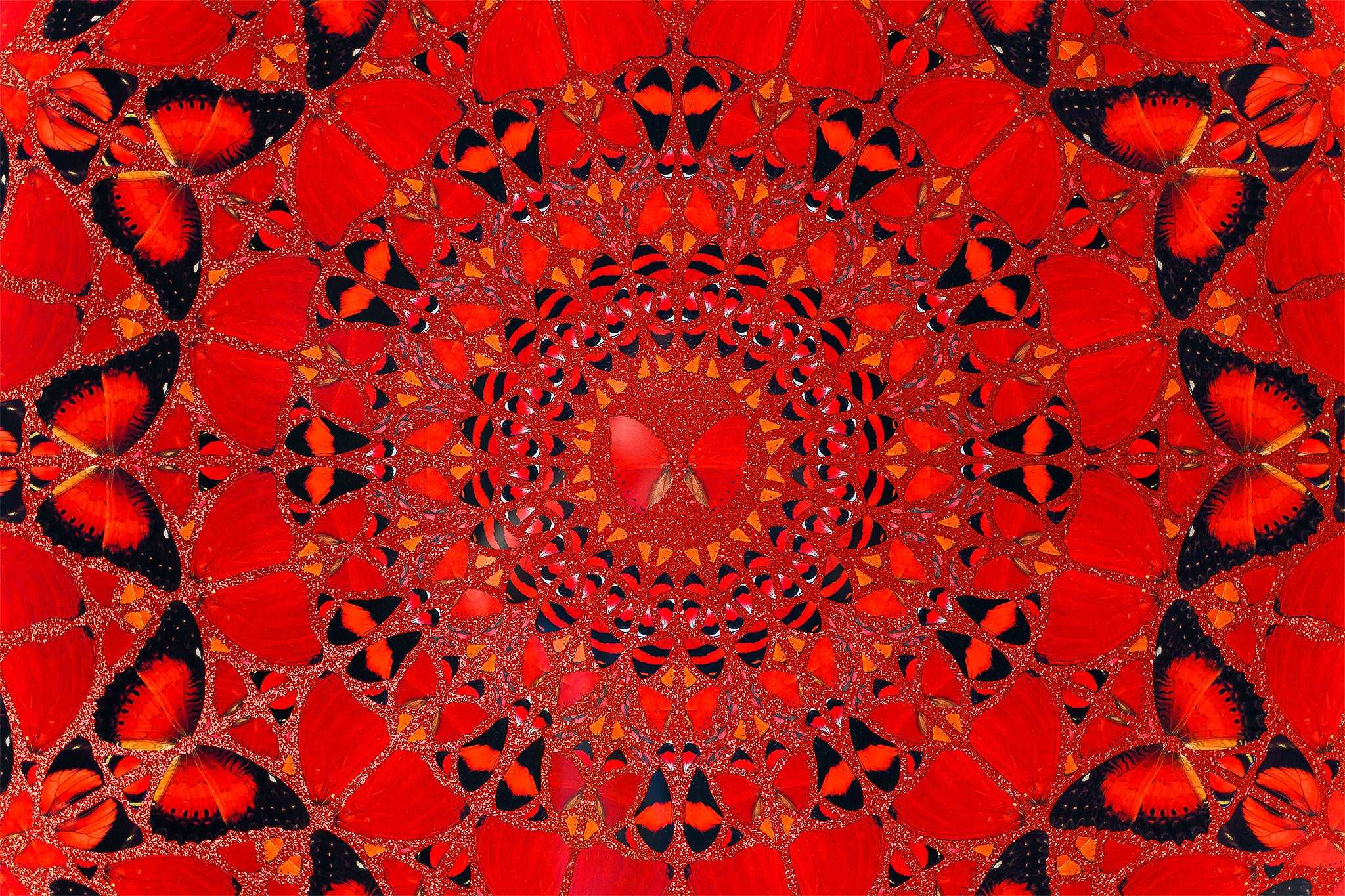 Damien Hirst - Suiko