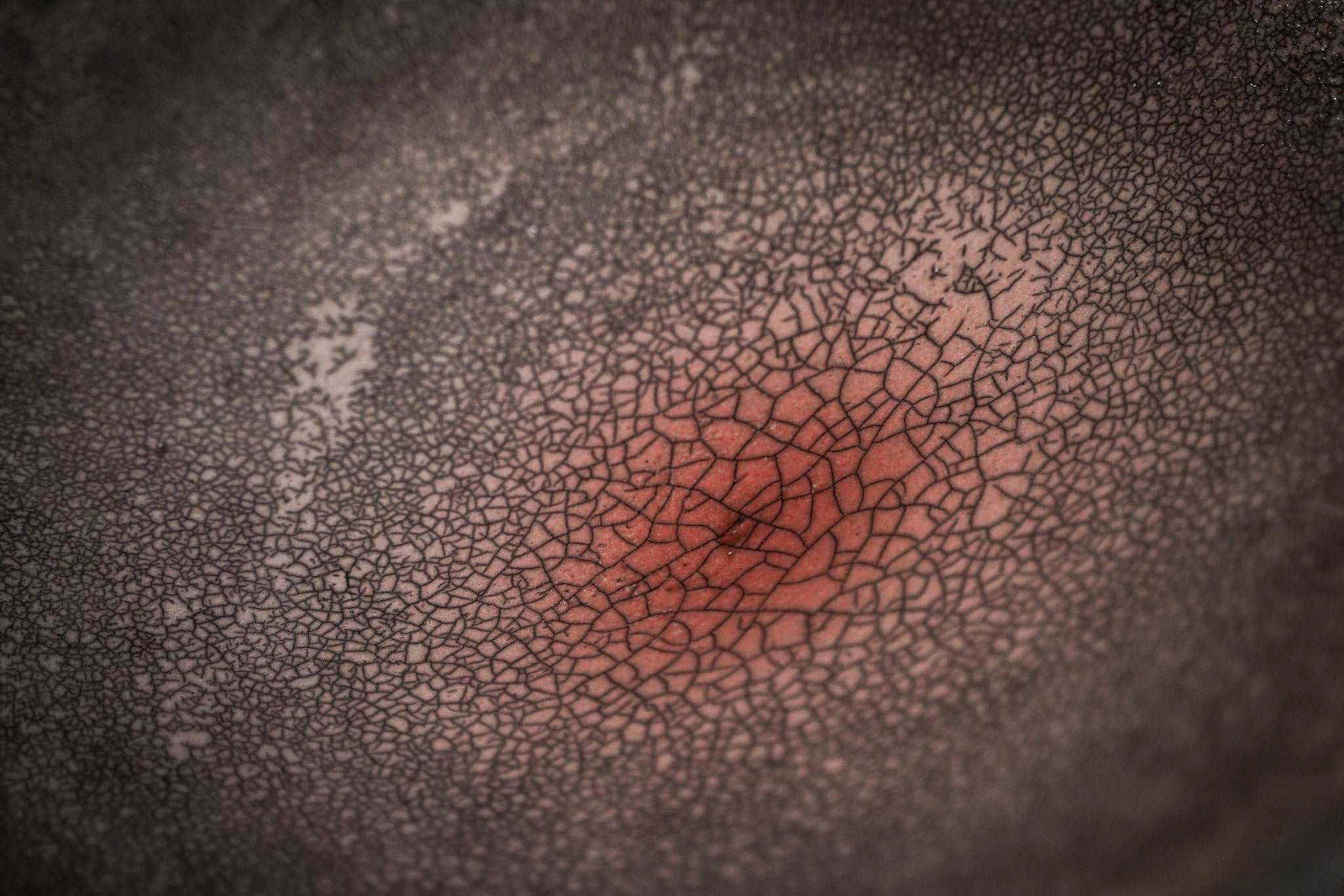 Domani Kohala TKOS45LK (IN STOCK)