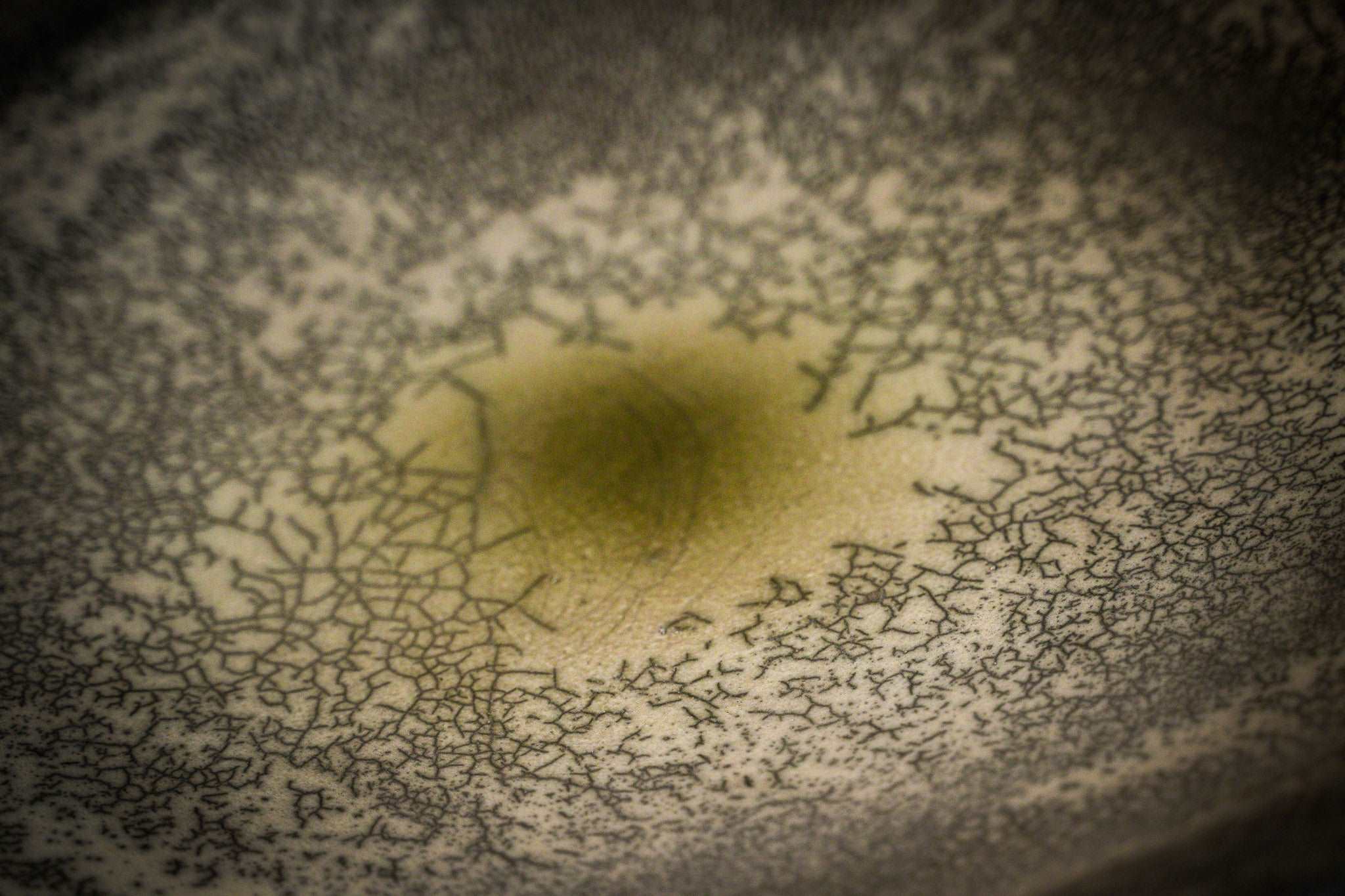 Domani Kohala TKOS55SW (IN STOCK)