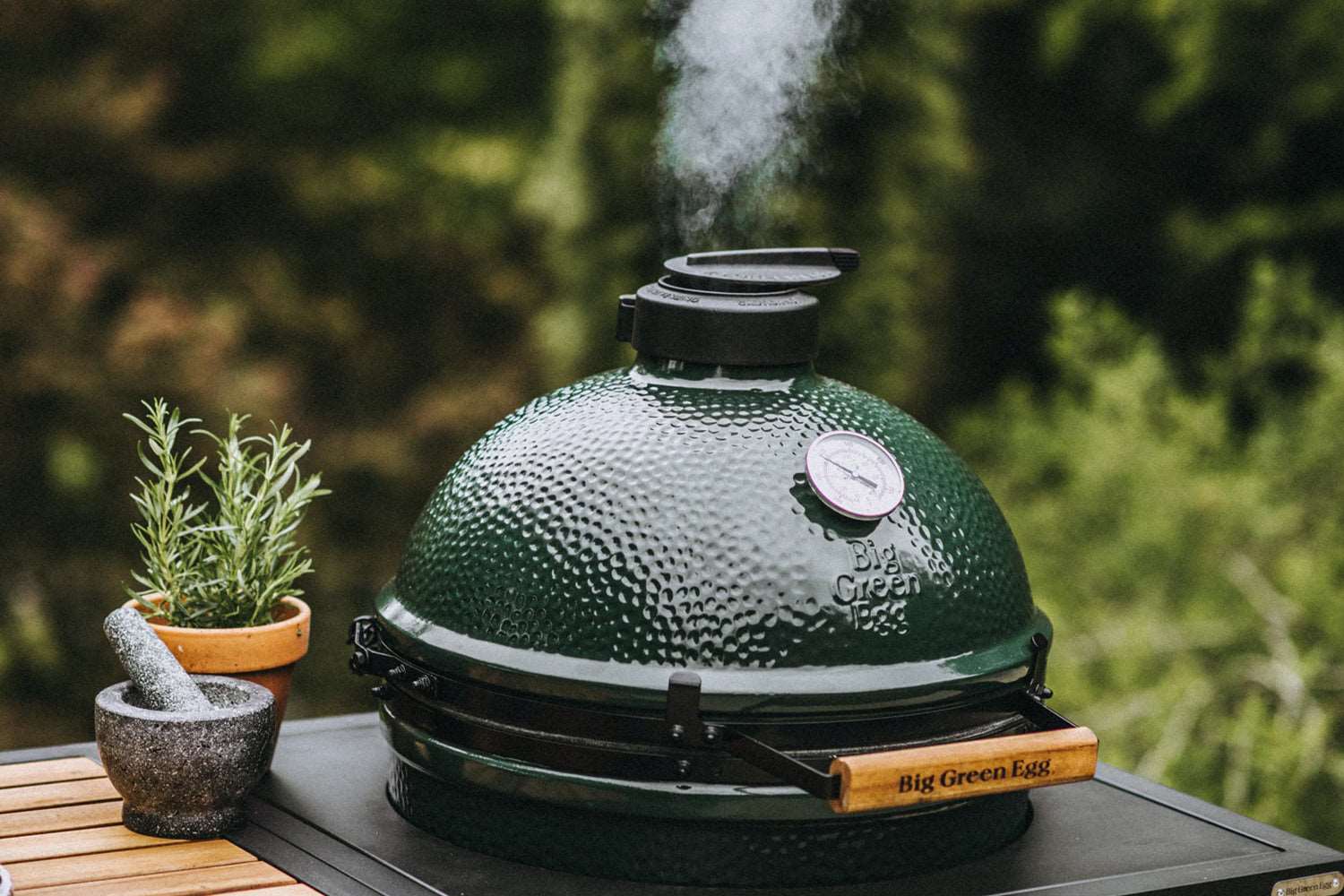 Large Big Green Egg