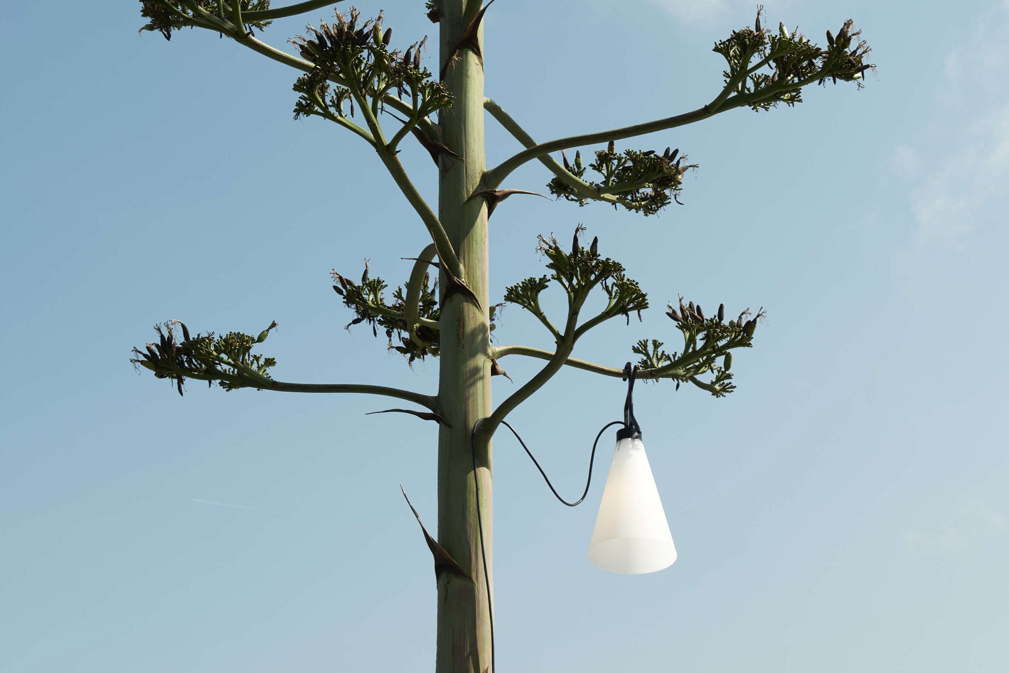 FLOS Mayday Outdoor Leaf Green